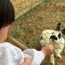 맘마농장 이미지