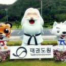 태동체육관(태권도) 이미지