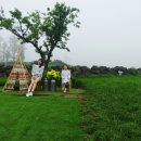 채움목장 이미지