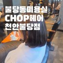 알팀헤어천안불당점 | 불당동미용실 추천 CHOP헤어 천안불당점 단발 레이어드C컬펌 솔직 후기