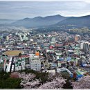 진해공설운동장 야구장 이미지