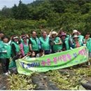 김귀자농장 이미지