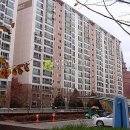 10용사로 이미지