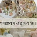 제이캔들스투디오
