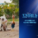 바다그래픽 | 영화 모아나 실사 관람평 개봉 정보 쿠키 유무 완벽 정리