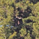 소라보체육공원 이미지