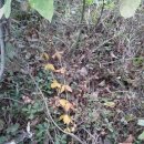 산과 바다사이 이미지