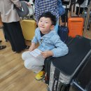 1터미널 이용 및 에어부산 BX747 좌석, 기내식 후기, 와그 유심구입 픽업서비스까지! 아이랑 해외여행♡