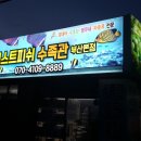 베스트피쉬 수족관 이미지