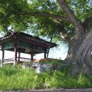 상당2리(구성) | 원남면 상당리 충효정(遠南面 上唐里 忠孝亭)