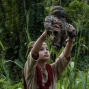 영화-고질라vs콩 이미지