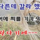 학동제일 이미지