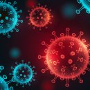 한국, 큰일 났다…‘코로나19 악몽’ 재현되나… 이미지