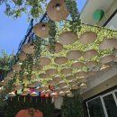 유리성콘도텔 | 베트남 다낭/호이안 숙소 후기 : 유로스타리버사이드, 멜리아 빈펄 다낭 리버프론트, 실크 럭셔리 호텔...