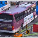 성내미육교.판교박물관 이미지