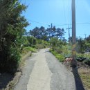 울도민박 이미지