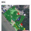 태안 몽산포캠핑장 맛조개 잡기 팁