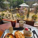 핑크버니 고양원당점 | 고양 카페 배다골베이커리하우스 세 번째 방문 후기