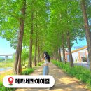 풍유동시내버스공영차고지 | 공주 메타세콰이어길 여행코스 충남 6월 가볼만한곳