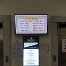 (가락시장 한우 정육점 /가락몰 축산) 정육백화점 후기
