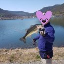 봄날노래연습장 이미지