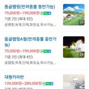[가평애견동반캠핑장]이레캠핑장 이용후기