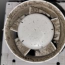 청진약품 이미지