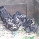 일재농장 이미지