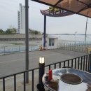 감성조개 이미지