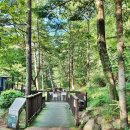 국립유명산자연휴양림 이미지