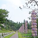 대부바다향기 테마파크 이미지