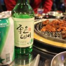 미스터갈매기