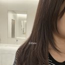 안헤어 - 금정구 남산동 | 명동미용실추천 이철헤어커커 명동점 헤어 클리닉 빗질 안 되던 머리 심폐소생 후기