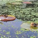 한마음선원_상 이미지