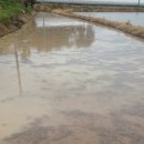 백연농장 이미지