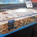 동대전수산 이미지