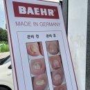비치아이앤패디