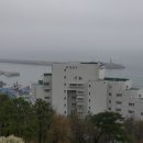 송지 이미지