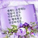 새해 인사 / 나태주 이미지