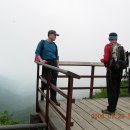 명지바람 이미지