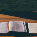 문일여자고등학교 이미지