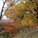 (주)히지노 Daum카페