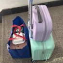 마직 | 마직살 후기