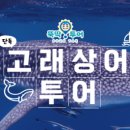 뚝딱투어