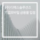 디에스솔루션즈(주)