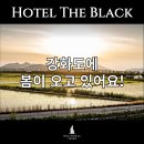 모텔 봄일랑 | 강화도모텔 봄봄봄 봄이 왔어요