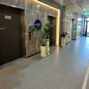 골프존파크 중앙캔버라 | 새로 생긴 연중무휴 “고덕 골프존파크 하이앤점” 다녀온 솔직 후기 • 시설부터 인테리어, 음료, 등...