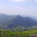 들국화목장 이미지