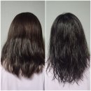 이민정헤어 | 아워스킨 헤어샴푸 사용후기｜ 건성두피샴푸와 두피샴푸추천 찾는다면