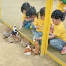 자연아놀자박물관 이미지